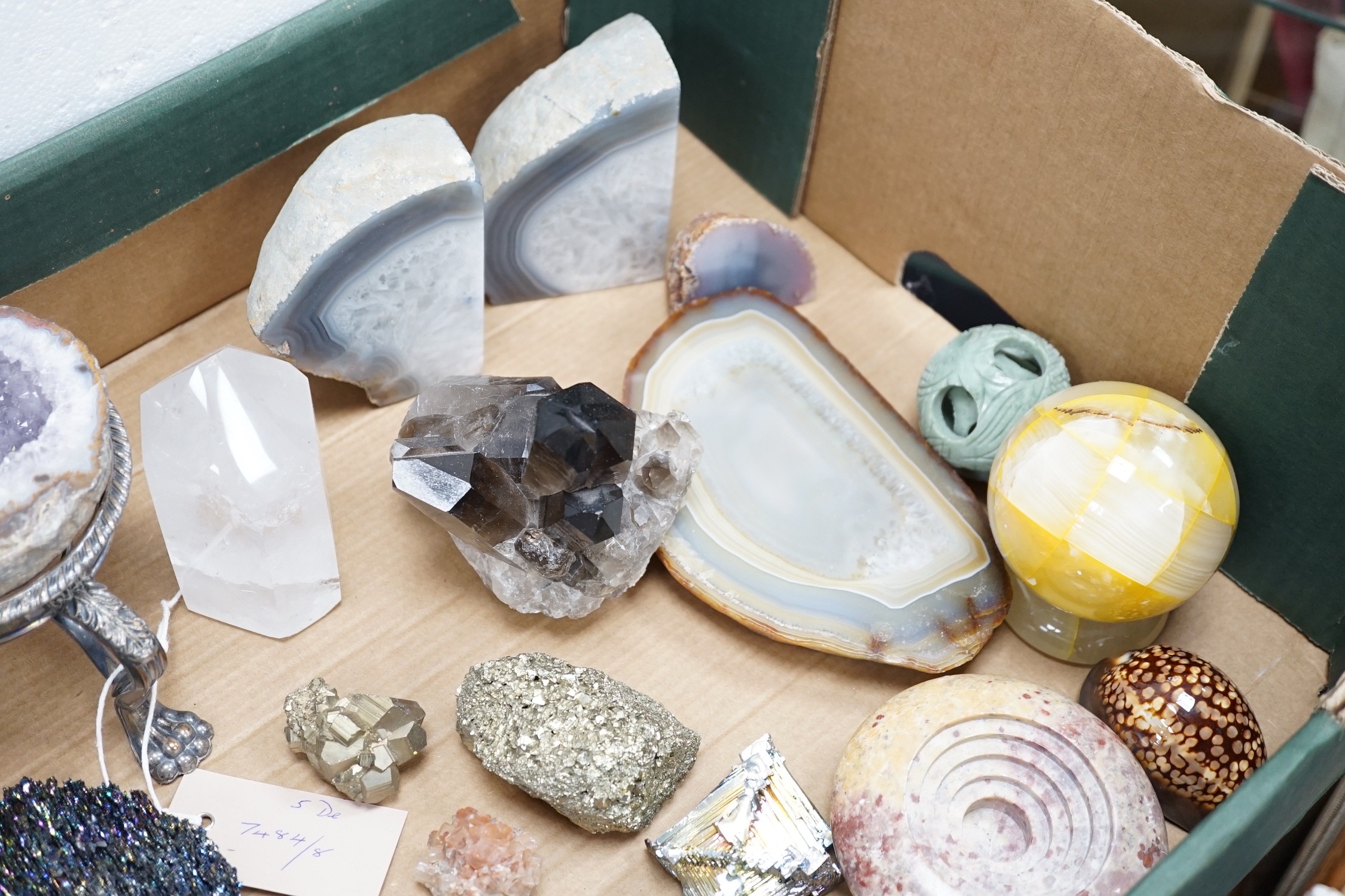 A collection of polished hardstone specimens, fossils, coral etc.